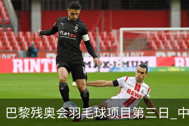 巴黎残奥会羽毛球项目第三日 中国队取得13胜3负